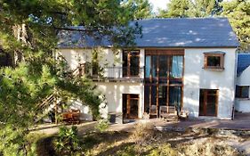 La villa dans les pins